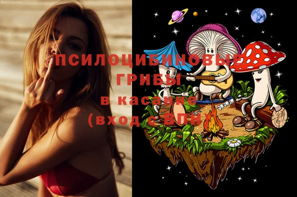 ALPHA PVP Алексеевка
