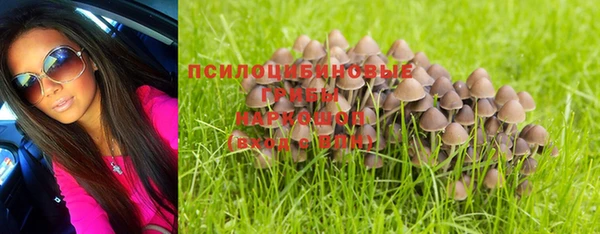 ALPHA PVP Алексеевка