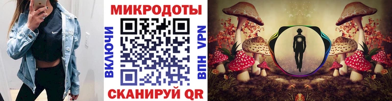 купить   Ефремов  гидра зеркало  Псилоцибиновые грибы мухоморы 